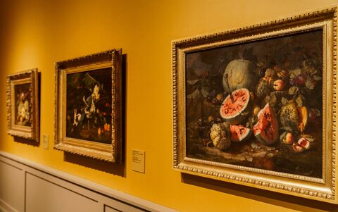 Франц Вернер фон Тамм, прозванный Дапре. Натюрморт с арбузом и фруктами