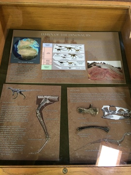 Dawn of the Dinosaurs