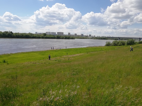 Берег Иртыша