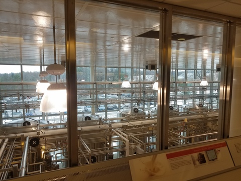 Milk Separation, Pasteurization, and Homogenization