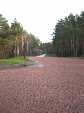 Площадь парадокса