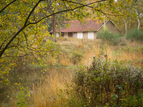 Liniehof Linies afkorting