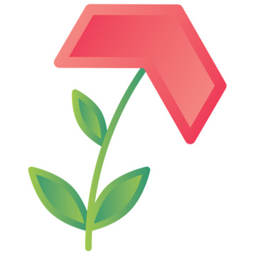 В сторону границы