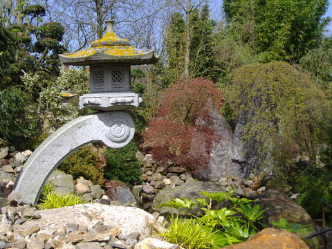 Japanse tuin begin