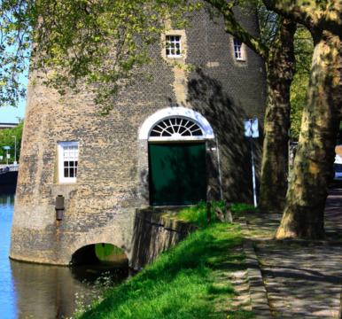 Molen De Walvisch