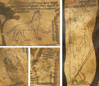 Manticora, monopode, marmini