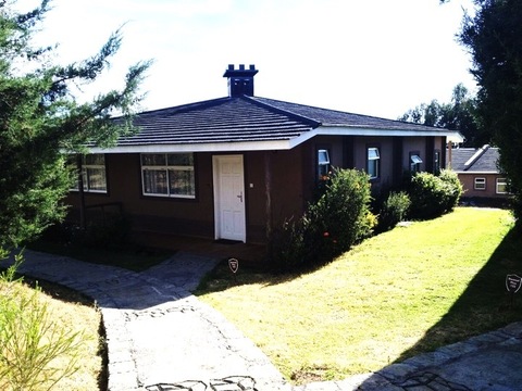 Damsel Plus Quarters