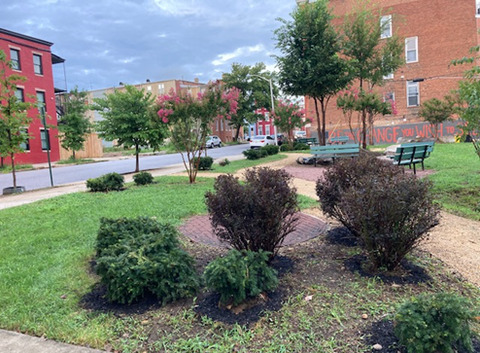 Peace Park at 2035 Druid Hill