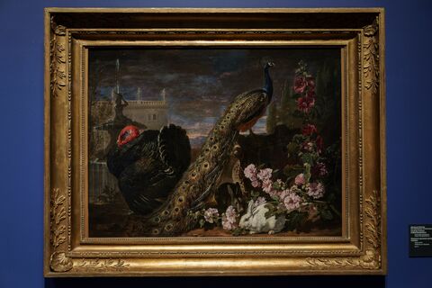Давид де Конинк. Павлин и кролики среди цветов мальвы