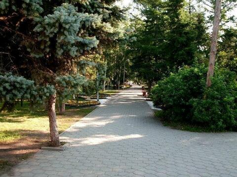 Сквер «Выставочный»