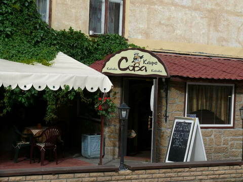 Выставка сов, кафе "Сова"