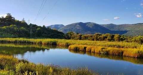 Specijalni rezervat prirode Tivatska solila
