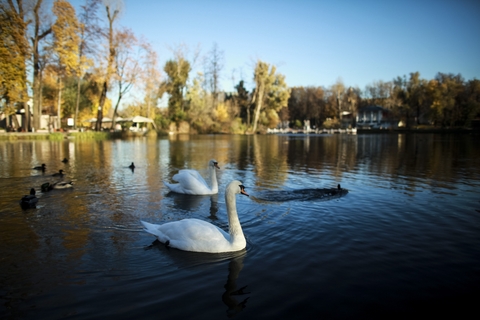 Голицынские пруды