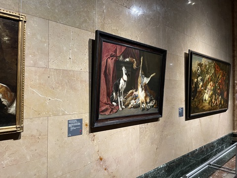 Ян Фейт. Натюрморт с битой птицей, зайцем, охотничьей собакой и котом 