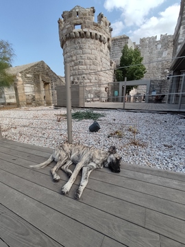 Construction history