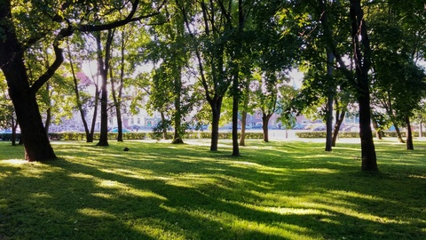 Парк Ленина