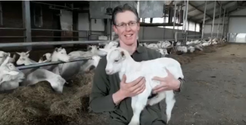 Geitenbedrijf van familie Combee