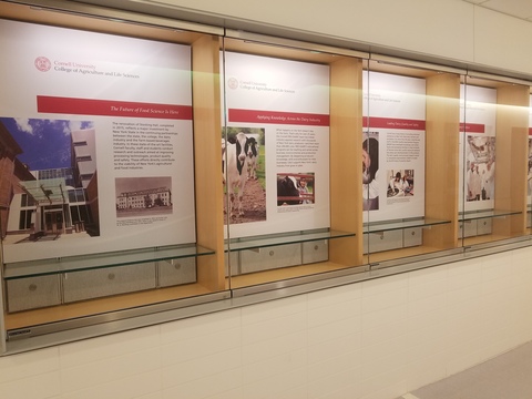 The Economic Impact of the Cornell Dairy Program