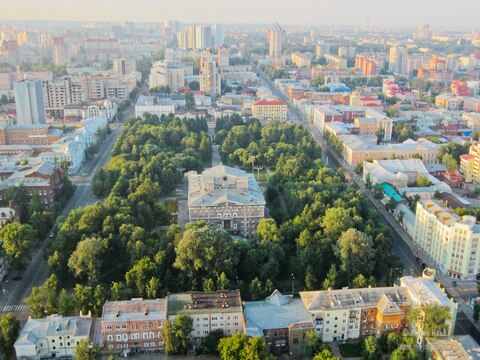 Природа Театрального сквера: растения из разных концов света