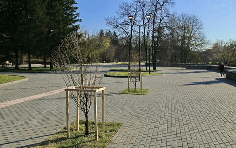 7. Ракита и аспирин