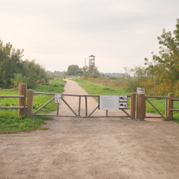 The Lielupe Floodplain Meadows
