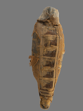 Мумии животных