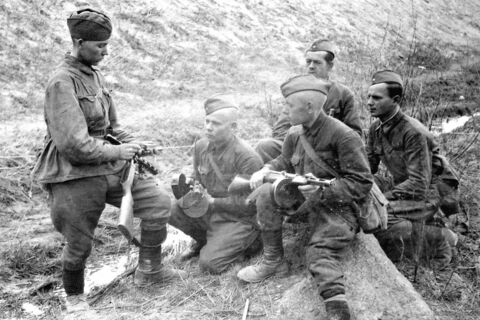 Поражение первого года