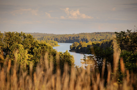 Dabas parks "Daugavas ieleja"