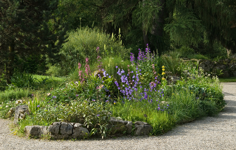 Geschützte Pflanzen im Steingarten