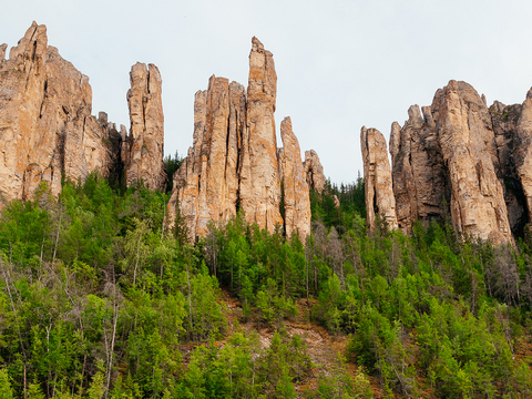 Научные исследования на территории нацпарка