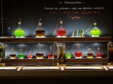 Laboratoire de la mer