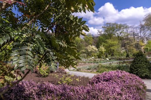 Jardin Botanique de Lyon : Jardin d'hiver