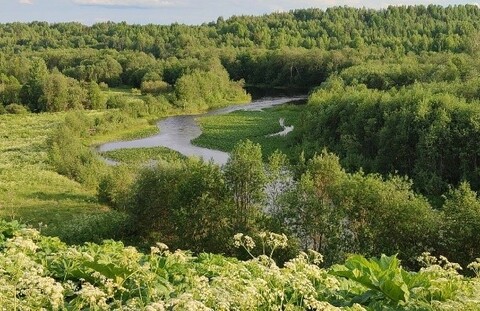 Усть-Паденьга
