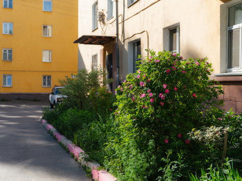 捷列什科瓦街 "海鸥"电影院