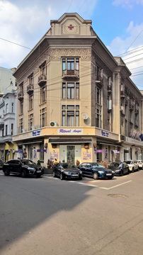 THE ROMANIAN RED CROSS