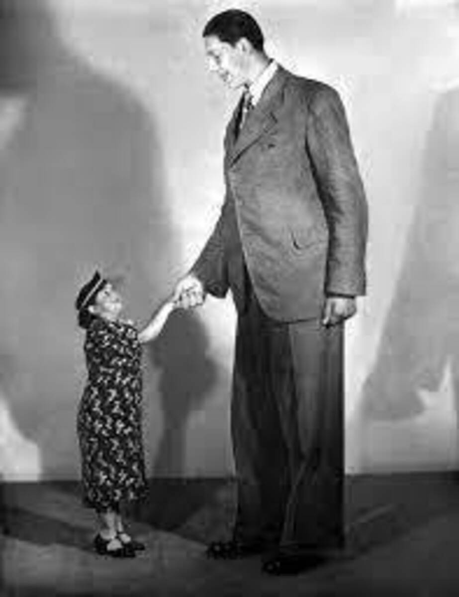 De Reus van Rotterdam