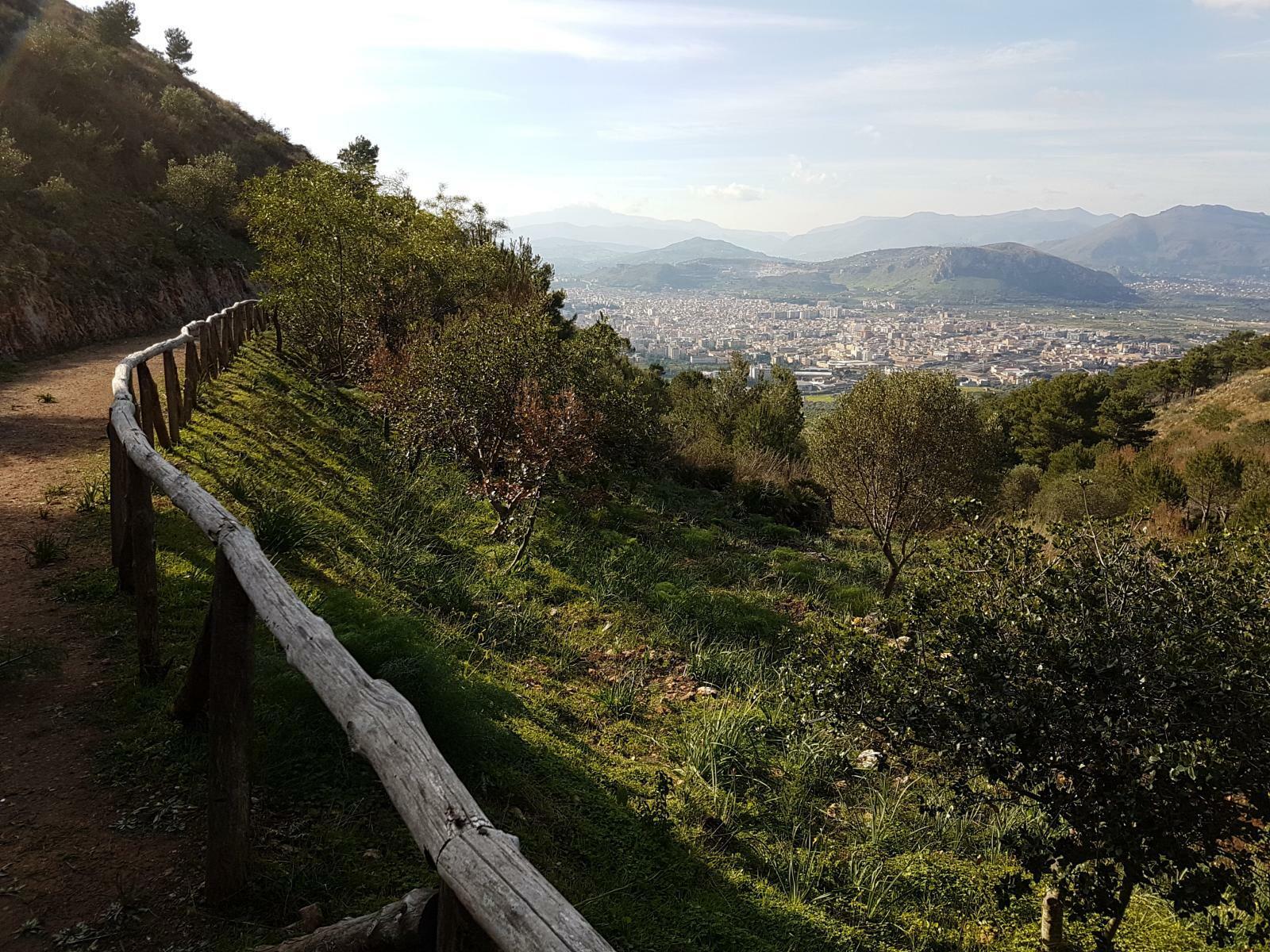 Il parco naturale di Monte Catalfano