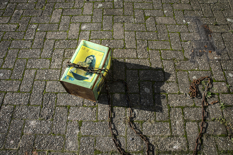 My Wife is a Great Cook