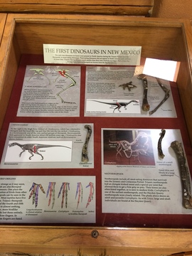 First Dinosaurs in New Mexico