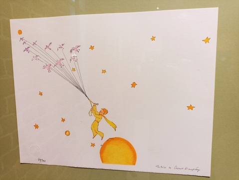 8. Маленький принц на пути к другой планете