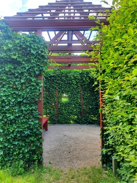 Herb garden