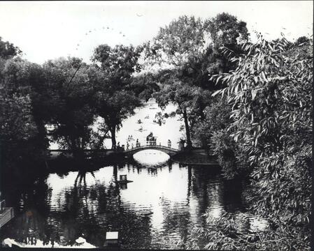 Китайский мостик