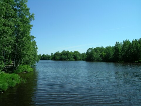 塞斯特罗列茨克