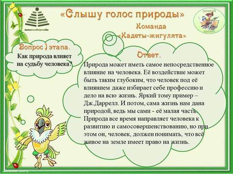 Проблемные вопросы проекта