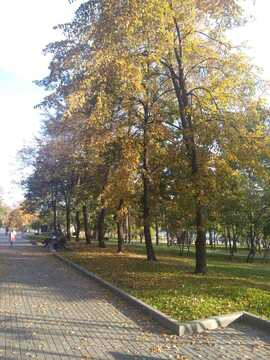 8. Липовая аллея