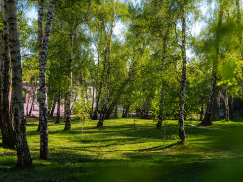 老格拉兹科夫公墓