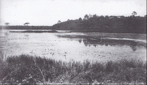 Perqué ne i a pas mei nat elefant uei a Ondres ?