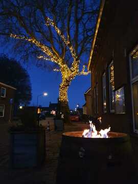 Willies Friet - Dorpshuis Meeuwen