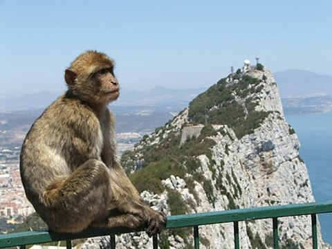 The Grand Gibraltar Upper Rock Walking Tour (start point Jews Gate)