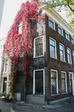 Branderssteeg